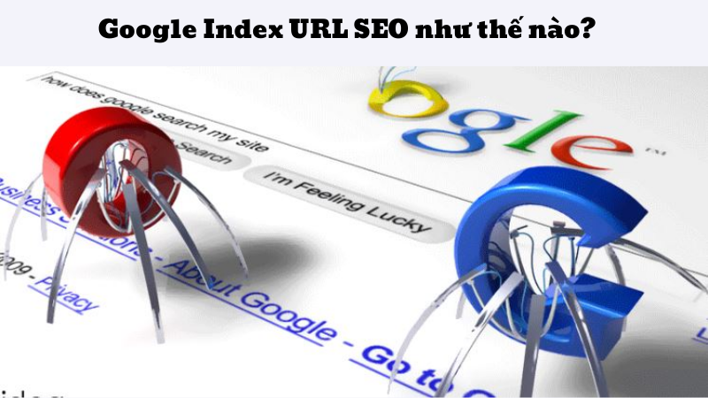 Google Index URL SEO như thế nào?