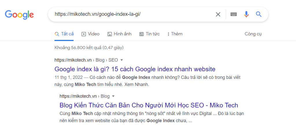 Kiểm tra đã submit website lên Google hay chưa trực tiếp trên thanh tìm kiếm Google