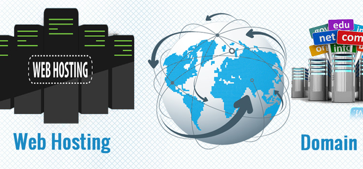 So sánh Domain và Web Hosting