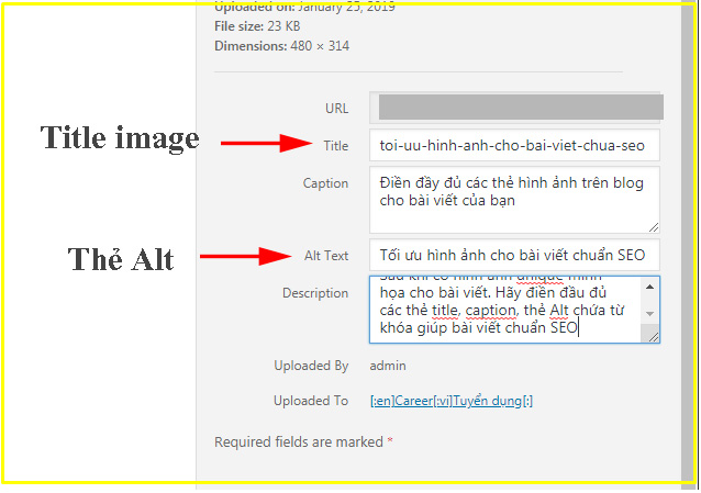 The Alt cua hình ảnh là gì?