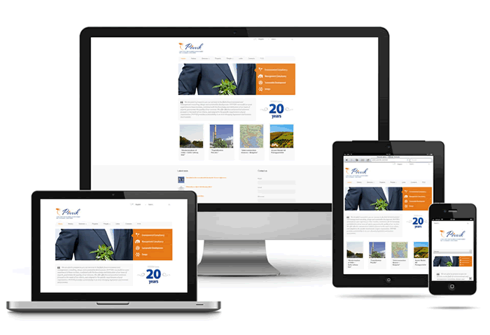 Responsive website