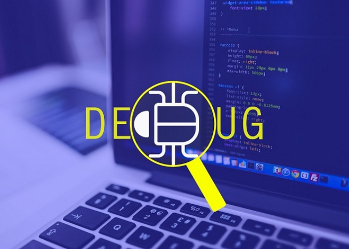 Debug là gì?