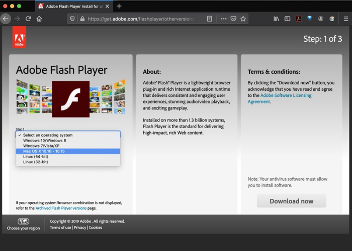 Flash website là gì? 