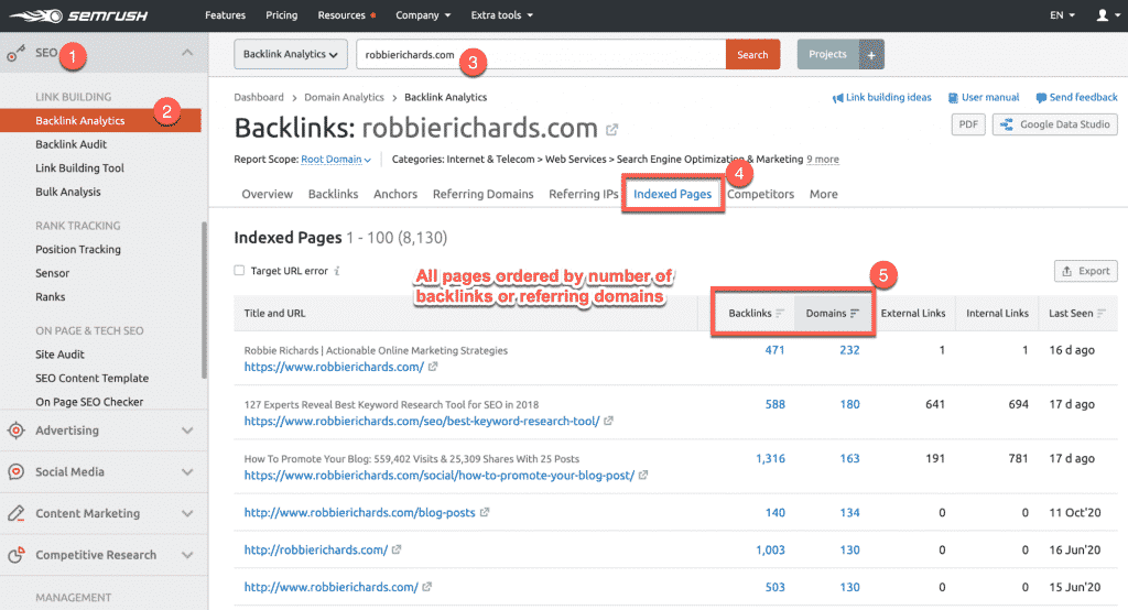 Sử dụng Semrush Indexed Pages report