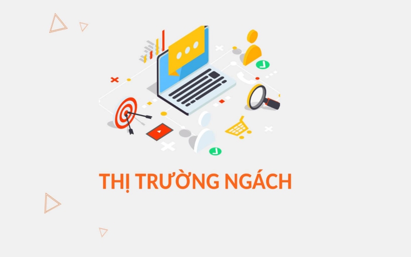 Thị trường ngách là gì? Cách xác định thị trường ngách phù hợp nhất