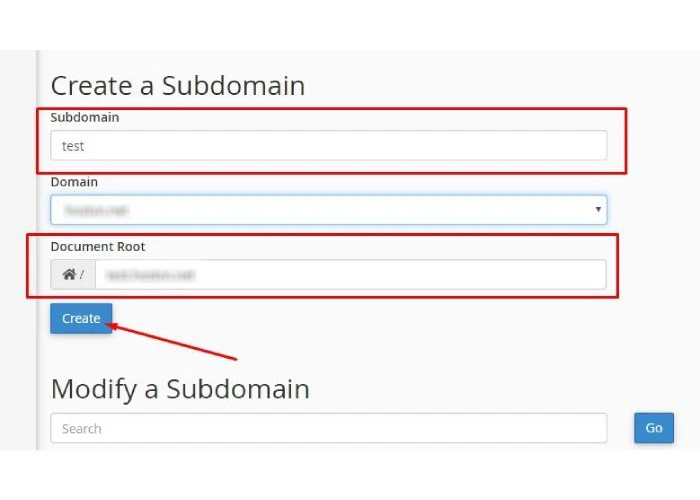 Nhập thông tin cần thiết vào các mục để tạo tên miền phụ