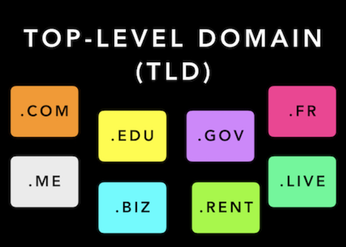 Top level domain (TLD)