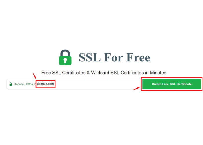 Truy cập website sslforfree.com