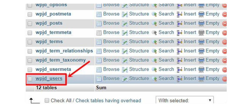 Cột tên người dùng sau khi chọn bảng wp_user