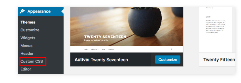 Custom CSS trong WordPress