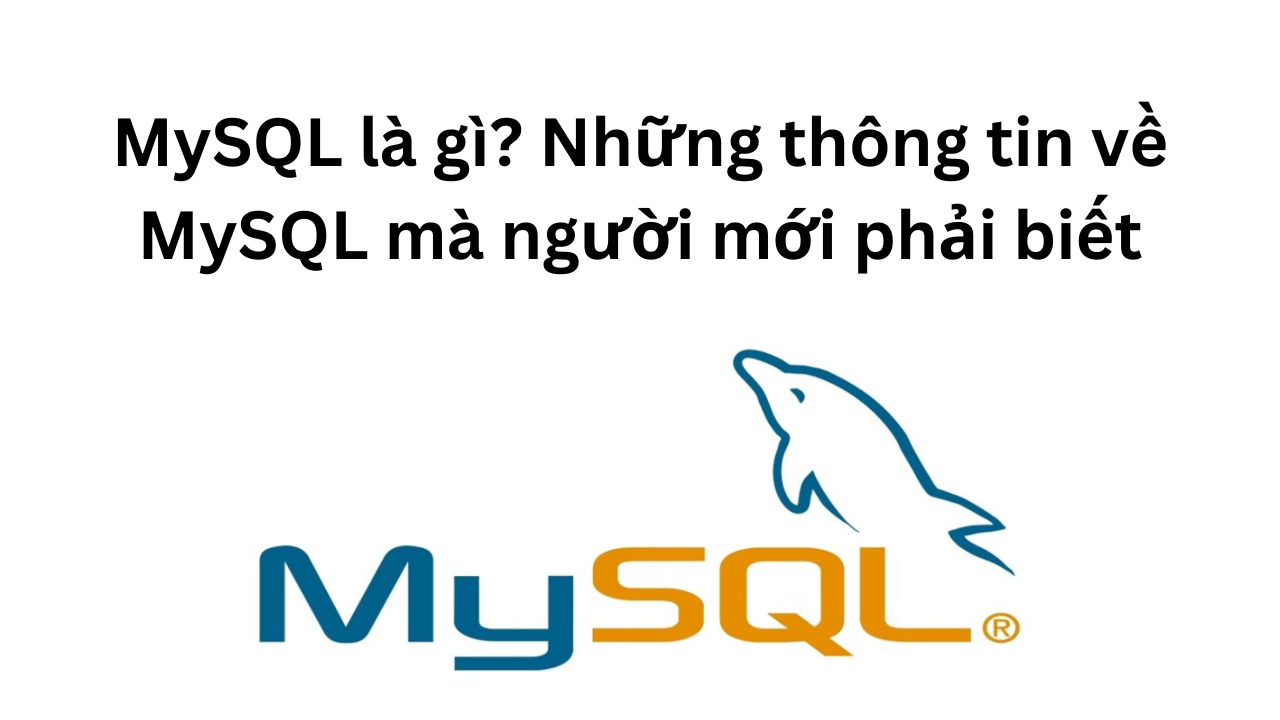 MySQL là gì? Những thông tin về MySQL mà người mới phải biết